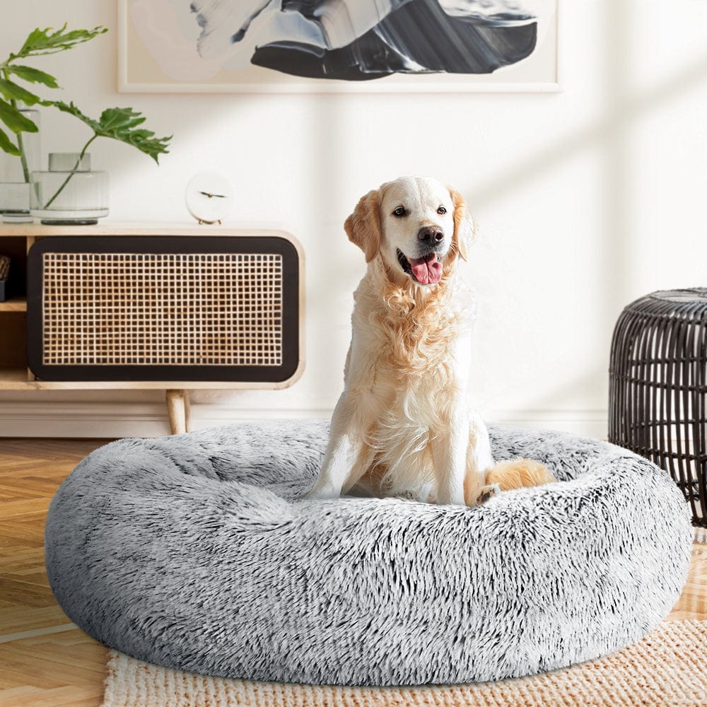 Golden retriver som sitter på en hundbädd