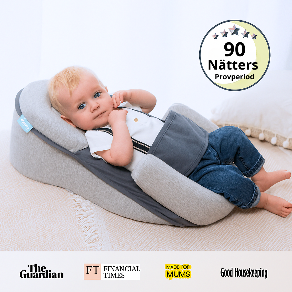 DreamNest Ergonomisk Bebissäng