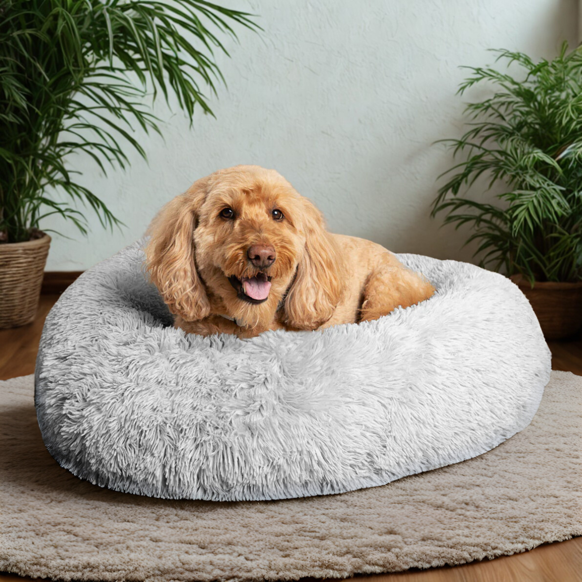 CloudBed™ – Hundens tryggeste sted