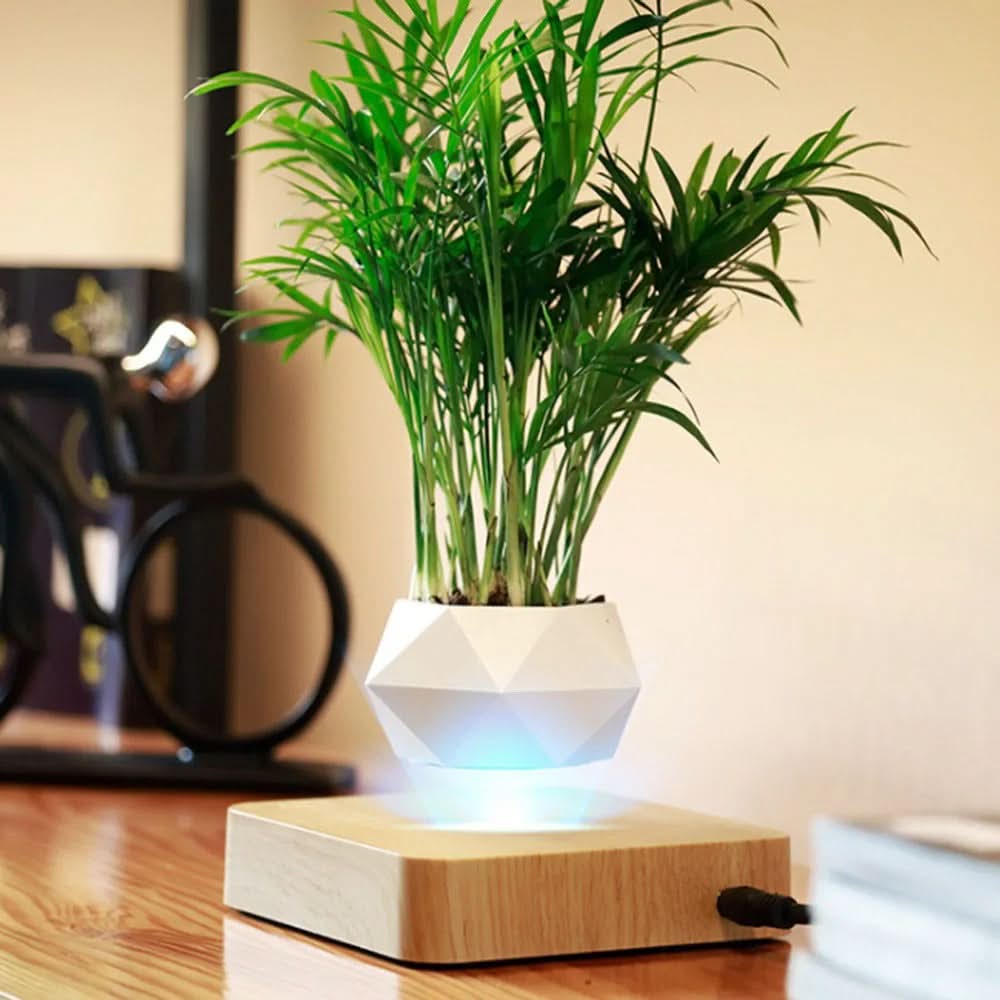LevitaPot™ – Magnetisk flytende blomsterpotte med 360° rotasjon